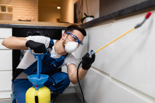 Best Local Pest Control Services  in Painesville, OH