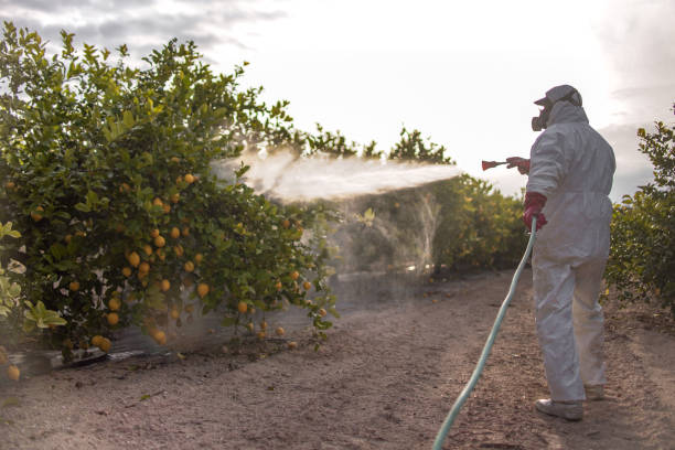 Best Mosquito Control Services  in Painesville, OH
