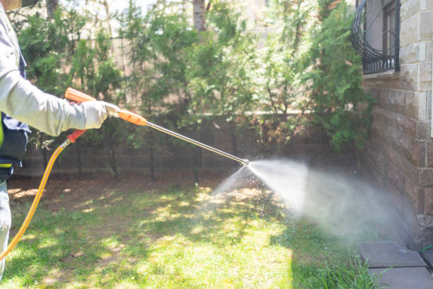 Best Residential Pest Control  in Painesville, OH