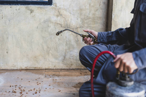 Best Pest Control for Businesses  in Painesville, OH