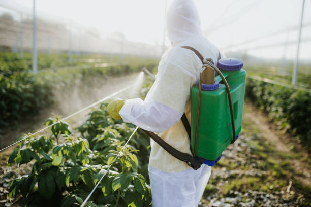 Best Ant Control Services  in Painesville, OH
